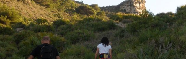 f7b517adfd64de4f19a886f06a2ccd3b