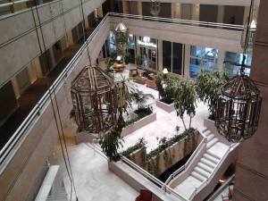 11059670_787806044602406_6679128668431735396_n