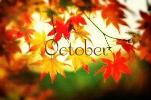 10291106_920088668020055_8190823692839813203_n