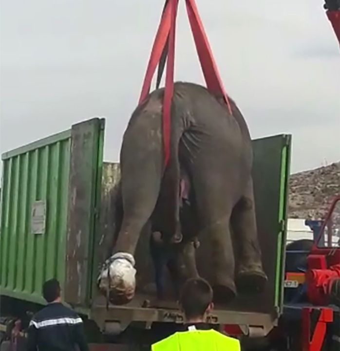 8fa708a5-a75b-48ee-9db1-e6ce98c53655