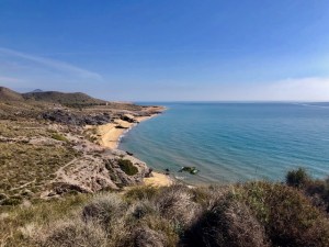 d192b079 d5e6 4411 8a44 f3c2ffcfe2a0 1 201 a